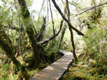 Parc National de Chiloé