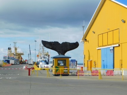 Punta Arenas, vers le port