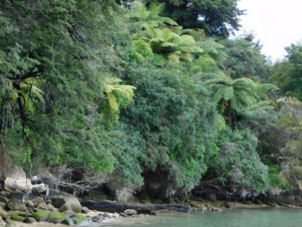 Parc national Abel Tasman