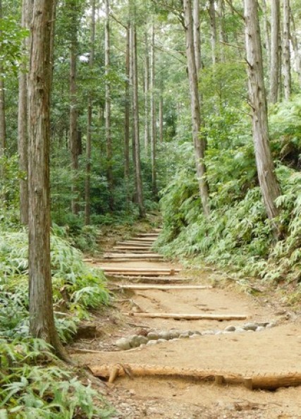 Randonnée sur le Kumano Kodo, de Hosshinmon-oji à Kumano Hongu Taisha
