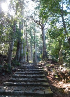 Sanctuaire de Kumano Nachi Taisha - Daimonzaka