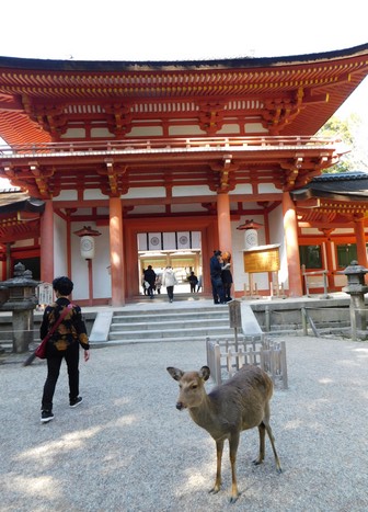 Nara - Temple Kasuga Taisha