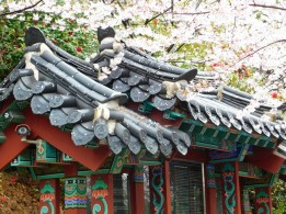 Busan - Temple Haedong Yonggung