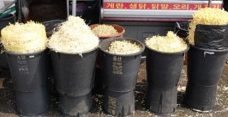 Jeonju - Nambu Market - Pousses de soja