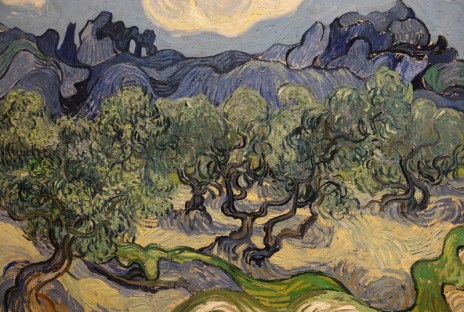 MoMA - Vincent Van Gogh