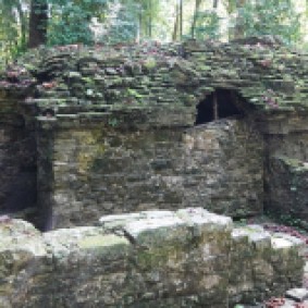 Site archéologique des ruines de Palenque - Petite balade dans la jungle pour rejoindre le musée