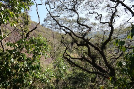Reserva Natural Atitlan - Balade à pied