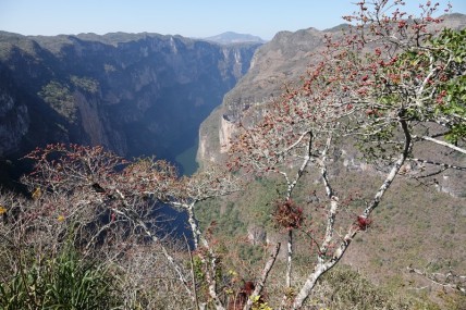 Canyon del Sumidero - Depuis le Mirador El Chiapas