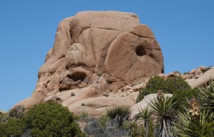 Joshua Tree National Park - Split Rocks